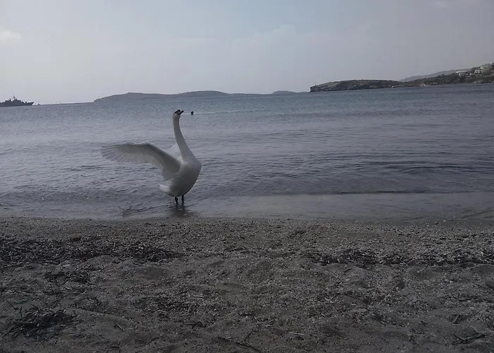 Bonatsa Bed & Breakfast