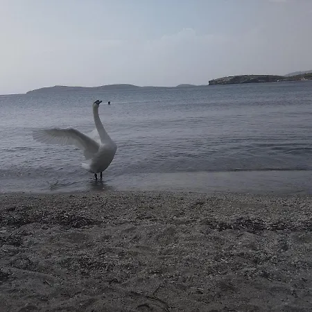 Bonatsa 住宿加早餐酒店
