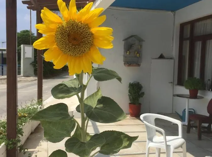 Bonatsa 3* باتسي